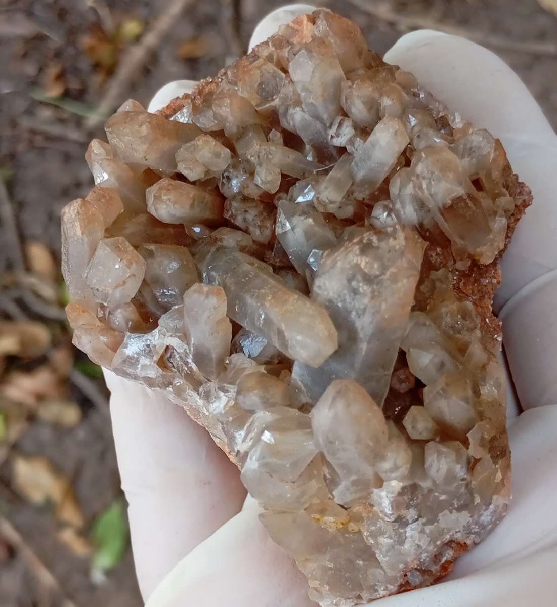Quartz - Orange River N Cape South Africa