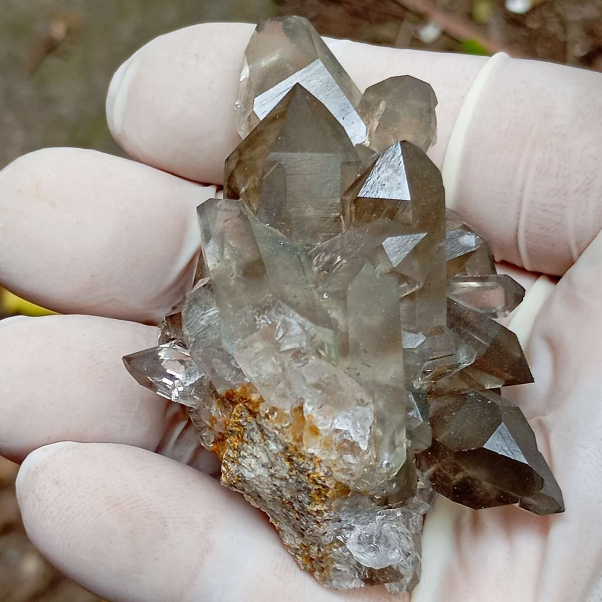 Hematite quartz - Orange River Steinkopf N Cape South Africa