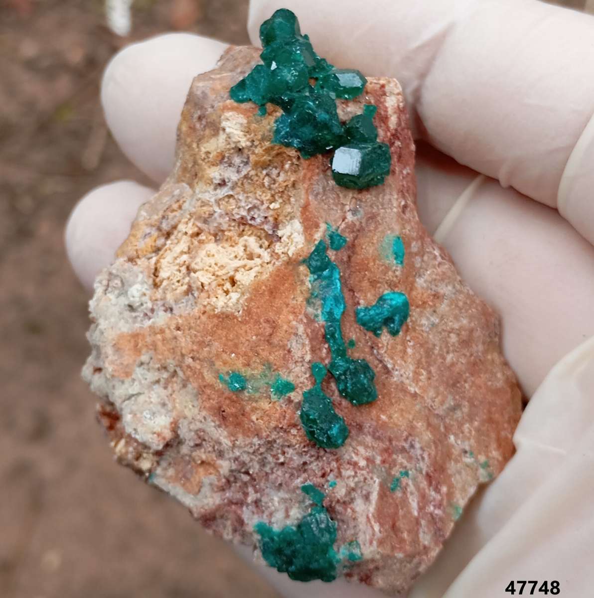 Dioptase quartz - Kolwezi mining district DRC Congo