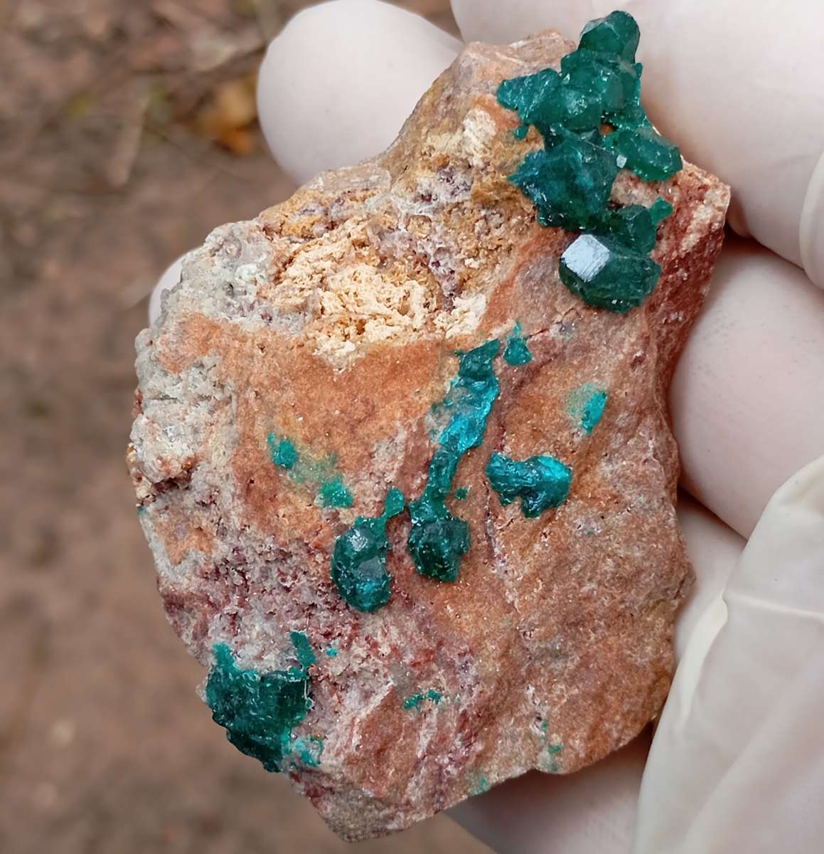 Dioptase quartz - Kolwezi mining district DRC Congo