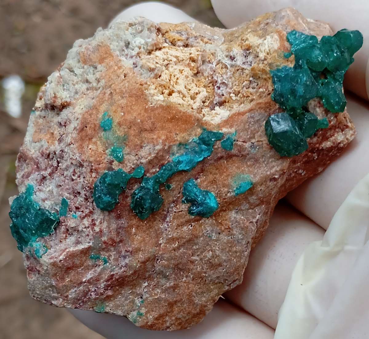 Dioptase quartz - Kolwezi mining district DRC Congo