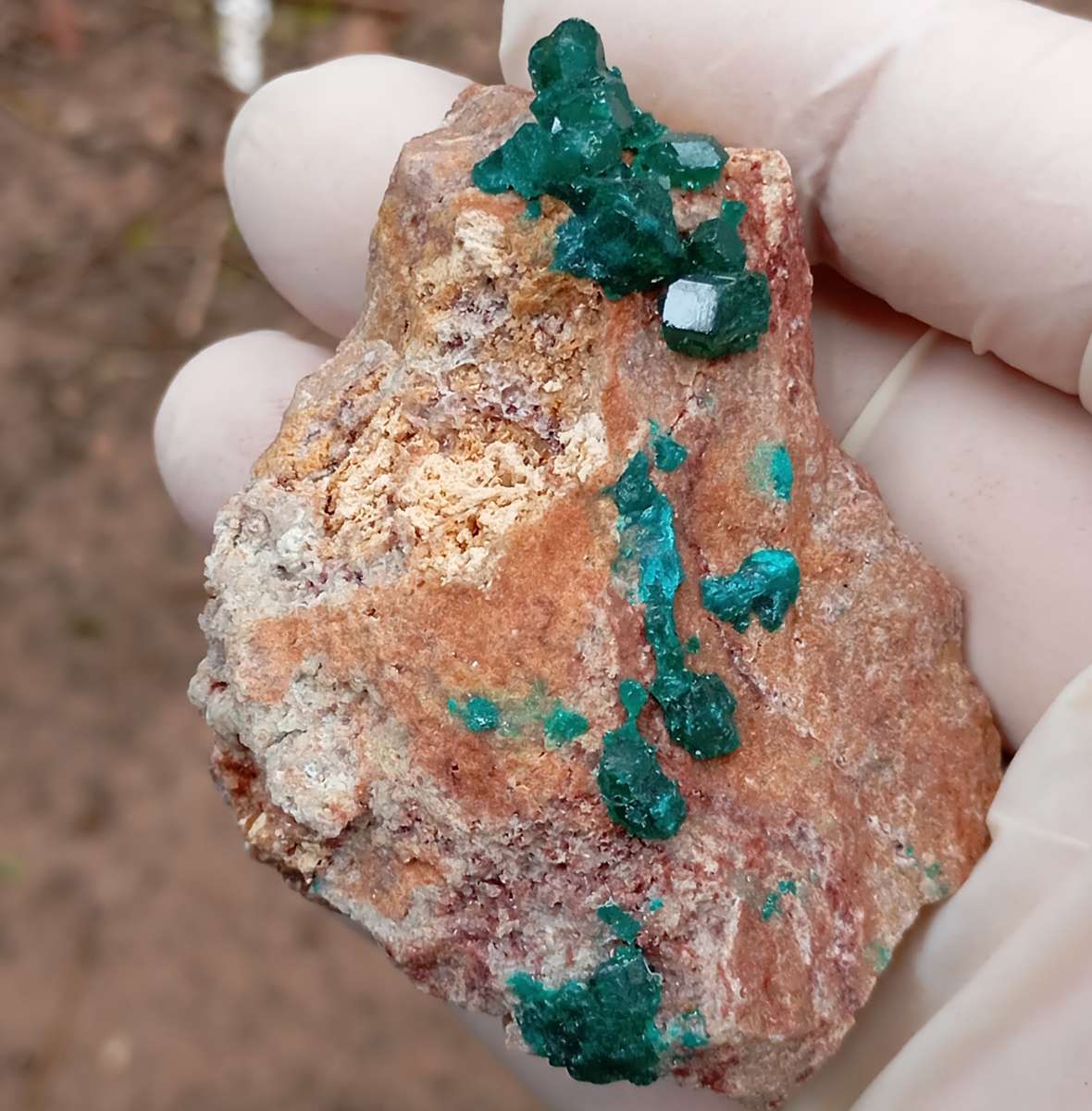 Dioptase quartz - Kolwezi mining district DRC Congo