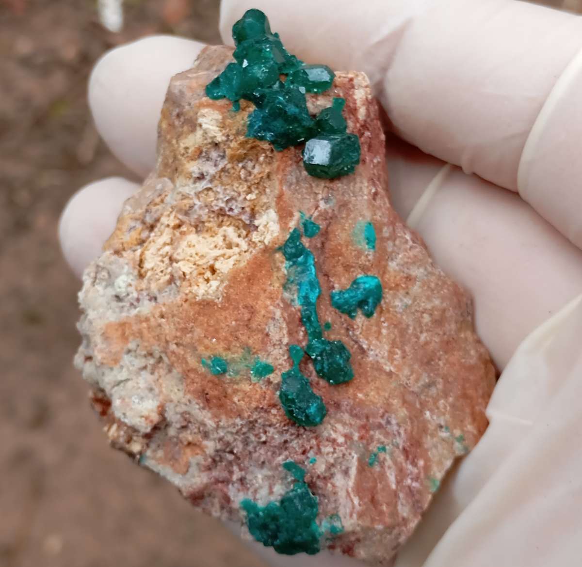 Dioptase quartz - Kolwezi mining district DRC Congo