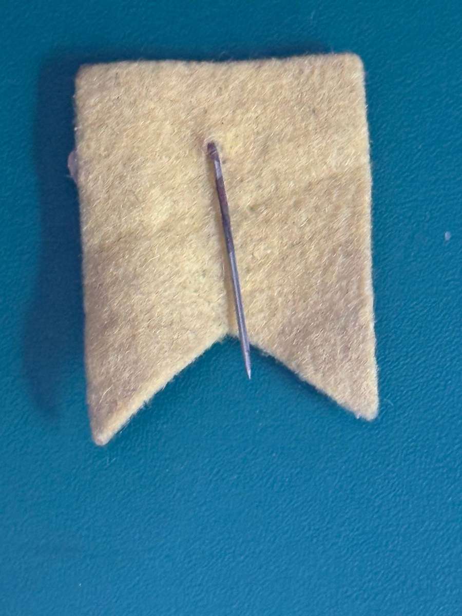 Rugby Pin - Wallabies