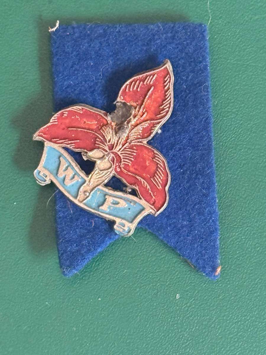Rugby Pin - Western-Province