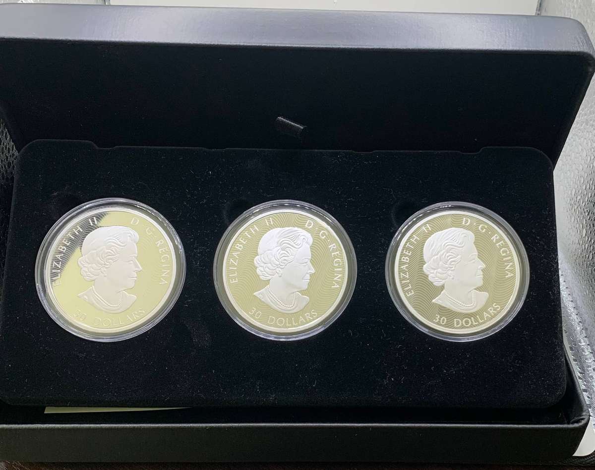 ( 2019  MAJESTIC BIRDS IN MOTION  )    3 X 2oz     HOLOGRAM , COLORIZED , ENGRAVED PROOF  SILVER SET