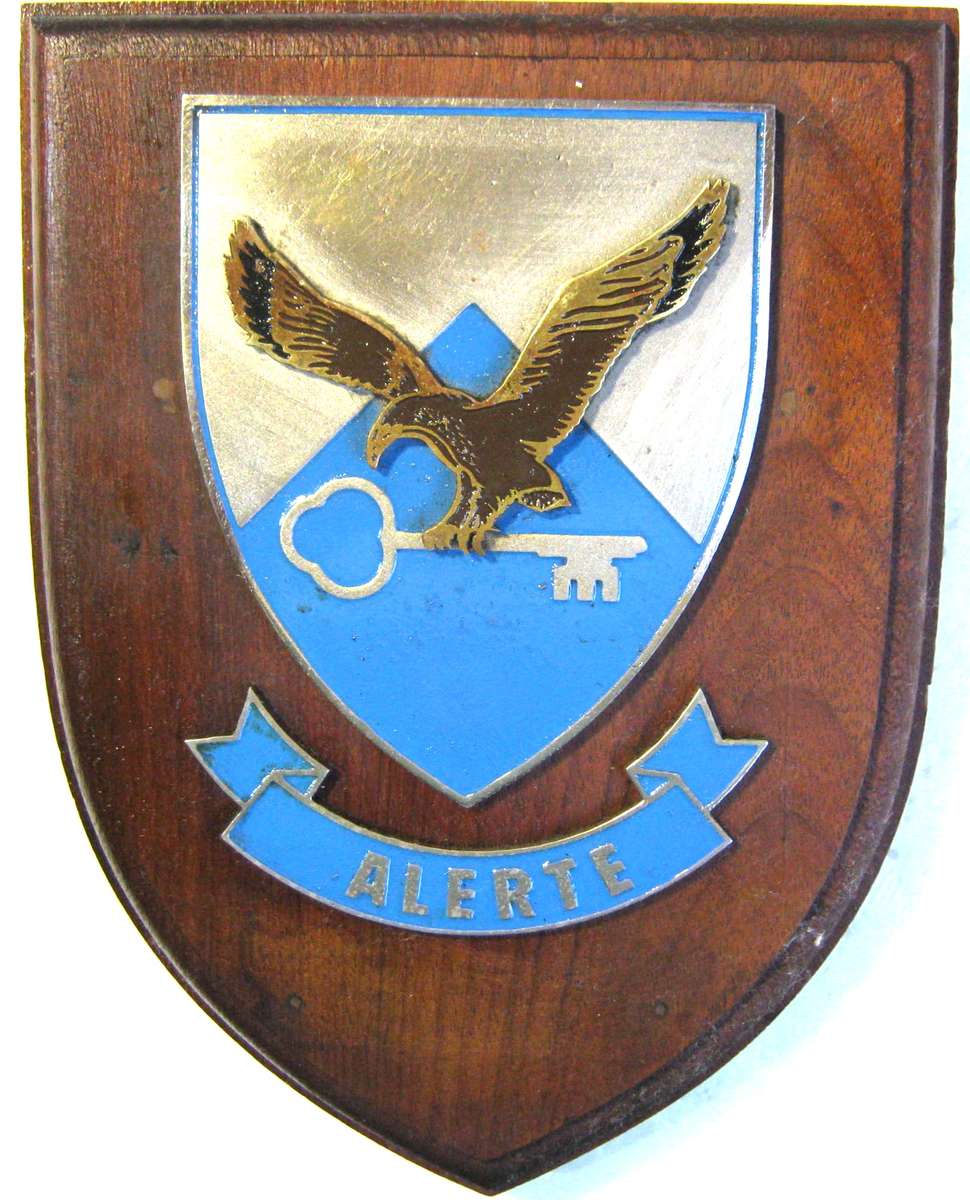 SAAF TEST FLIGHT DEVELOPMENT CENTRE METAL BADGE ON SHIELD IN GOOD USED CONDITION