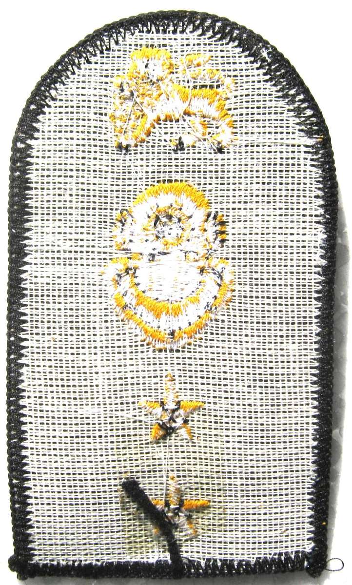 OLD S.A. NAVY WARRANT OFFICER AND CHIEF PETTY OFFICER DIVING INSTRUCTOR COLLAR BADGE IN UNUSED COND