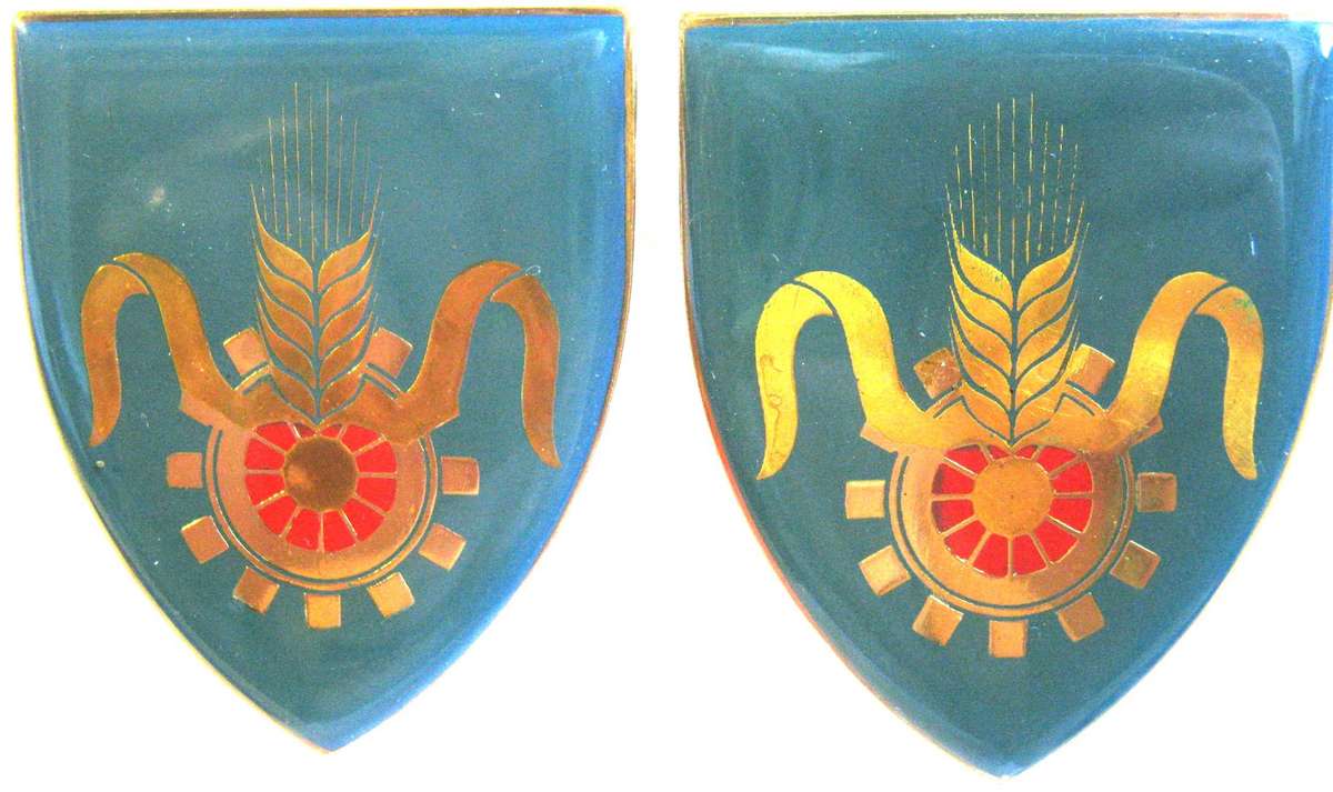 PAIR OF S.A. QUARTER MASTER GENERAL GOLD TYPE FLASHES WITH PINS IN GOOD CONDITION