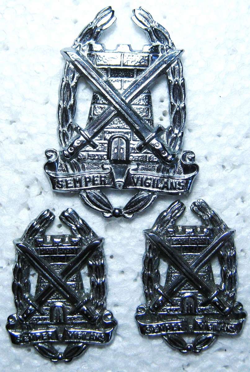 SPECIAL SERVICES CORPS CHROME CAP AND COLLAR BADGES WITH LUGS IN GOOD CONDITION
