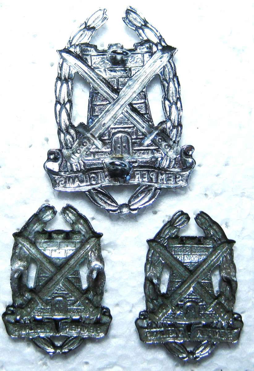 SPECIAL SERVICES CORPS CHROME CAP AND COLLAR BADGES WITH LUGS IN GOOD CONDITION