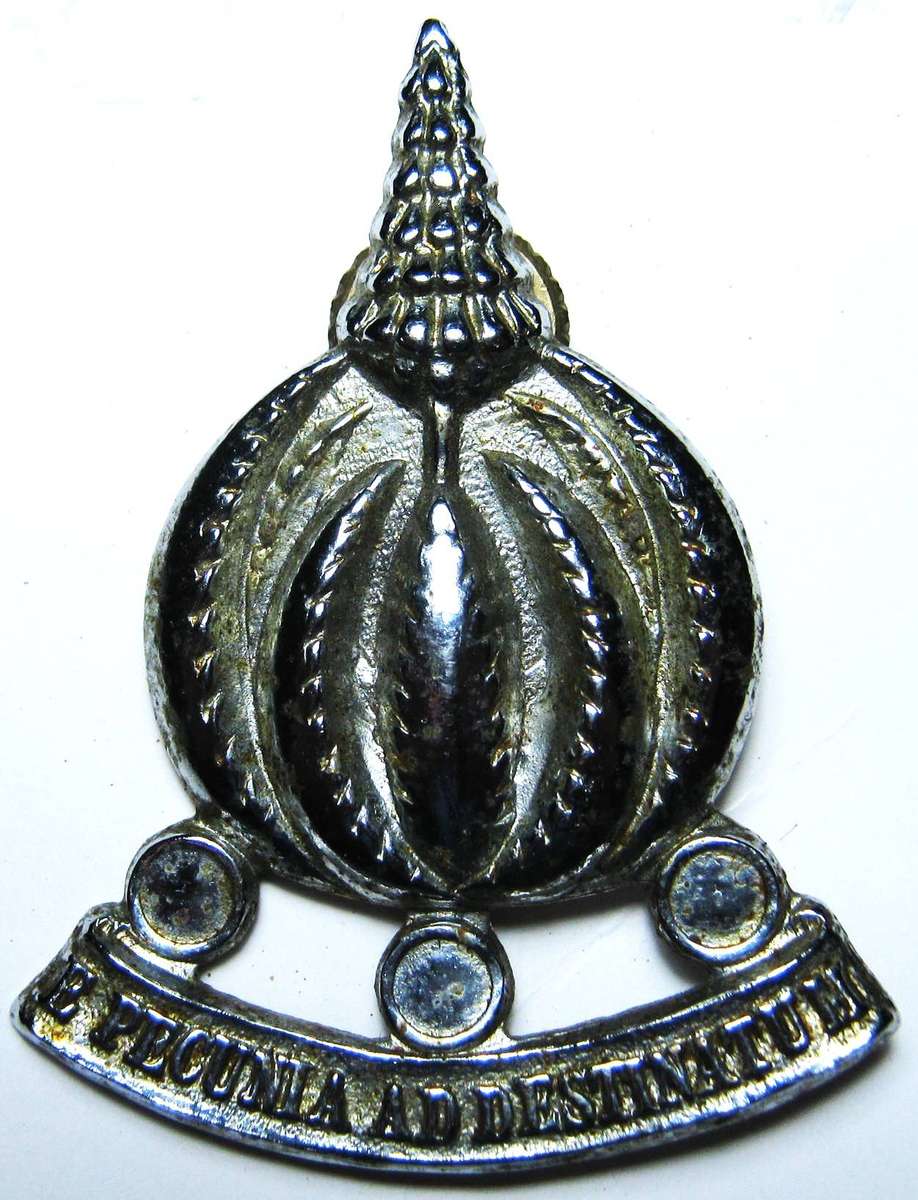 SADF FINANCE SERVICES CORPS CAP BADGE IN GOOD CONDITION
