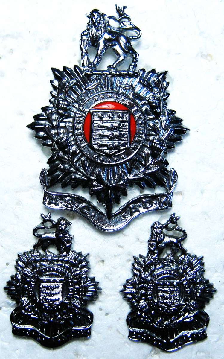 SADF ARMY SERVICES CORPS CAP AND COLLAR BADGES WITH LUGS AND PINS IN GOOD CONDITION