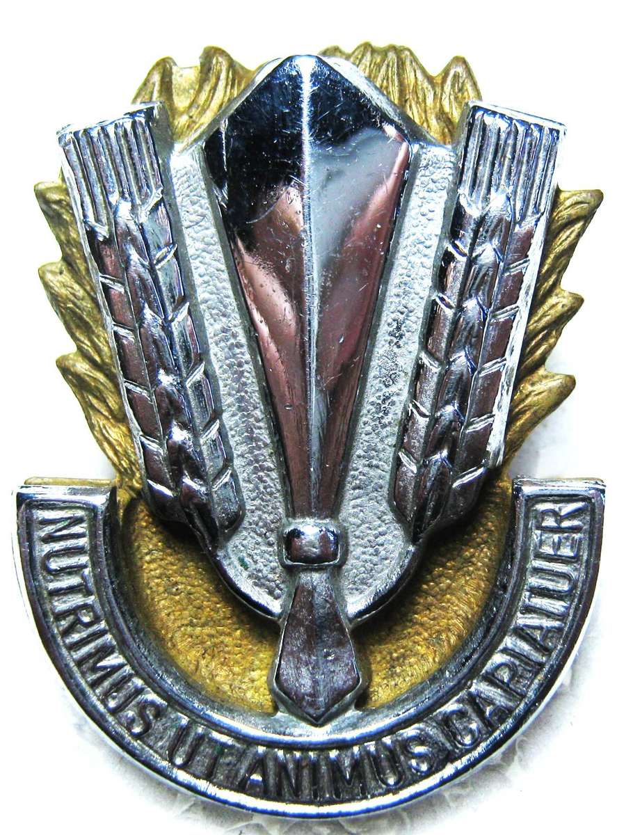 SADF CATERING CORPS CAP BADGE WITH LUGS IN GOOD CONDITION