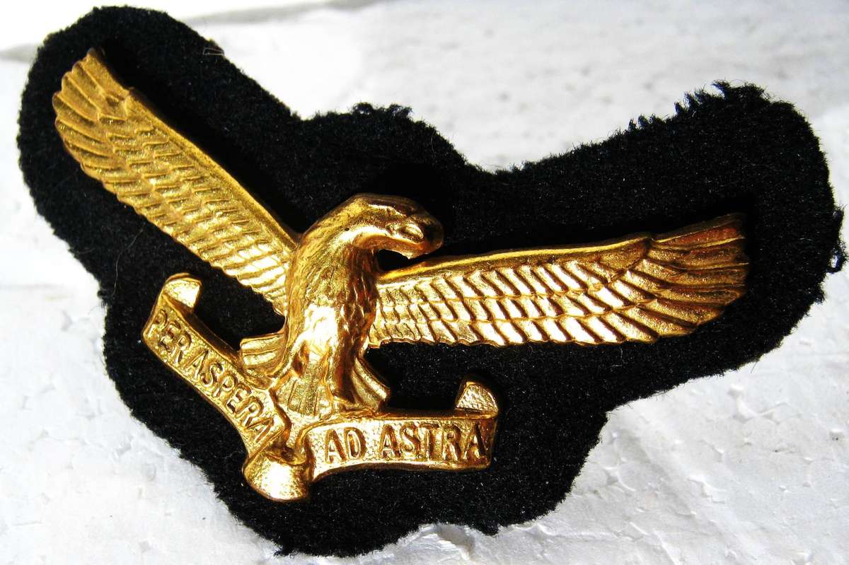 SAAF OFFICERS CAP BADGE WITH PINS IN GOOD CONDITION
