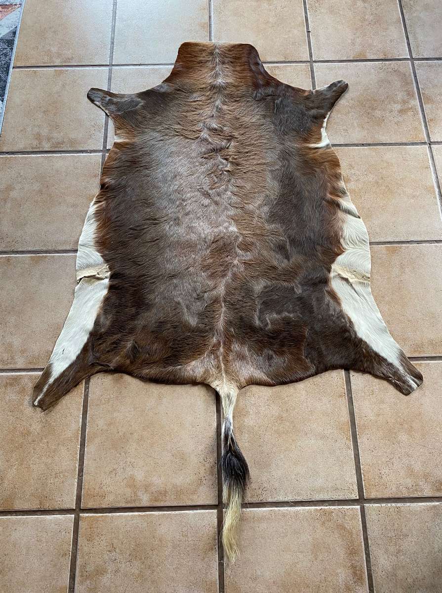 animal skin blesbok , approx.size:  100cm x 120cm,OFFER IS VALID UNTIL 15.06.2025