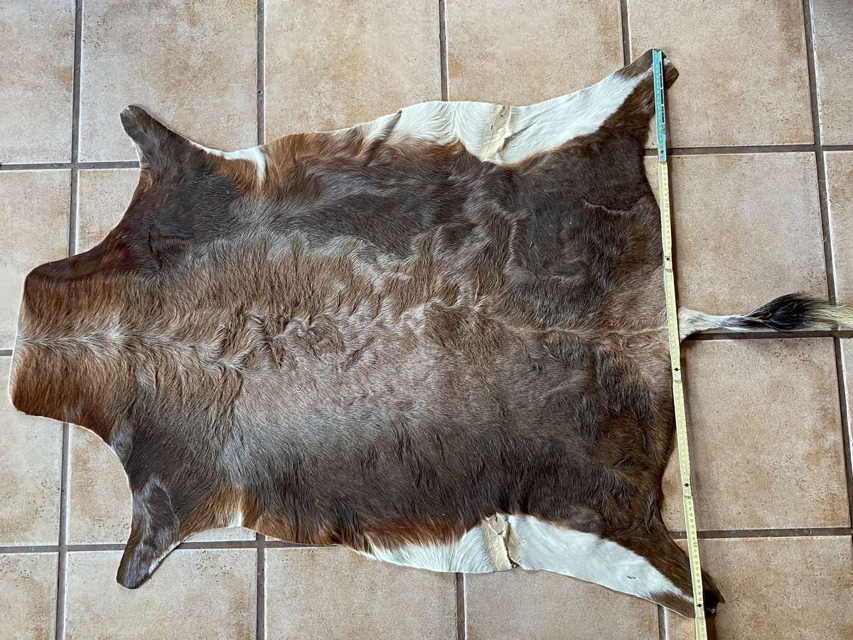 animal skin blesbok , approx.size:  100cm x 120cm,OFFER IS VALID UNTIL 15.06.2025