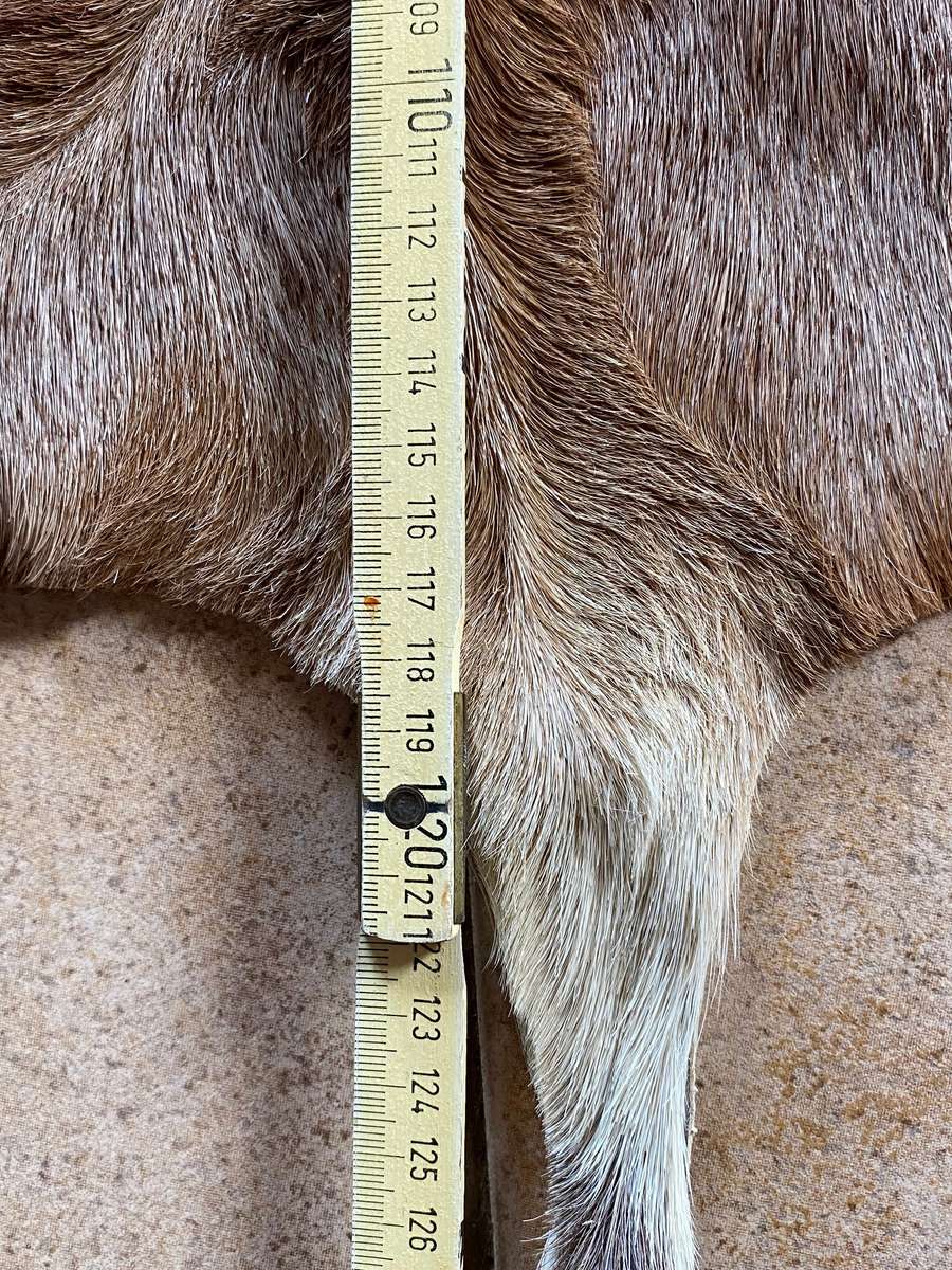animal skin blesbok , approx.size:  100cm x 120cm,OFFER IS VALID UNTIL 15.06.2025