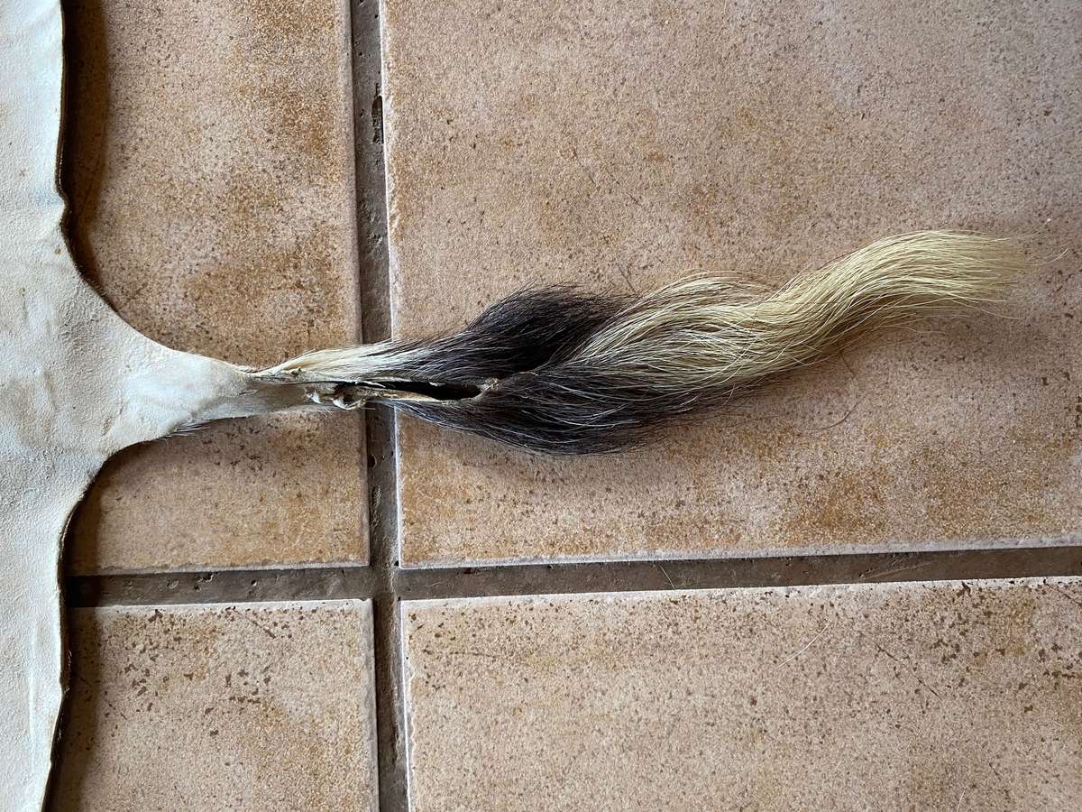 animal skin blesbok , approx.size:  100cm x 120cm,OFFER IS VALID UNTIL 15.06.2025