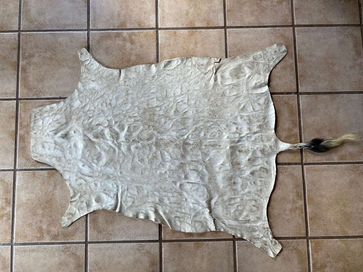 animal skin blesbok , approx.size:  100cm x 120cm,OFFER IS VALID UNTIL 15.06.2025