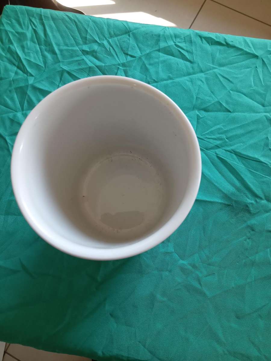 VILLEROY & BOCH AIR FISH VASE