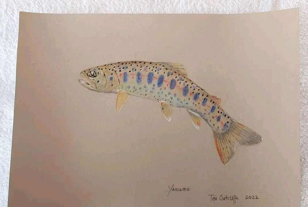 Two Tom Sutcliffe original pastel drawings on Clairefontaine Pastel Card.