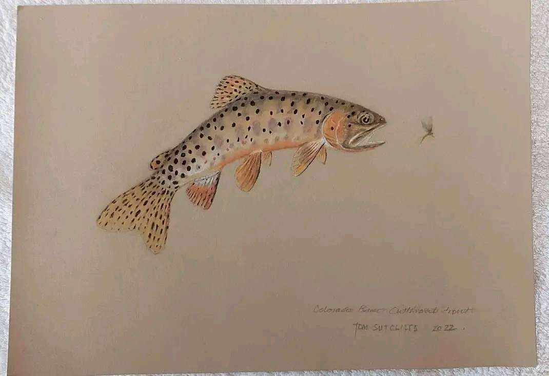 Two Tom Sutcliffe original pastel drawings on Clairefontaine Pastel Card.