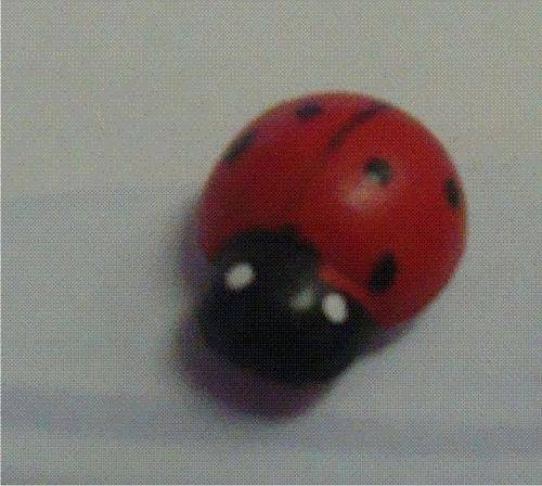Ladybugs - small wooden embellishments