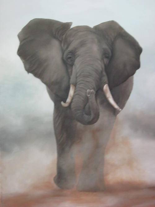 CHARGING ELEPHANT BULL  BY SALLY DELL