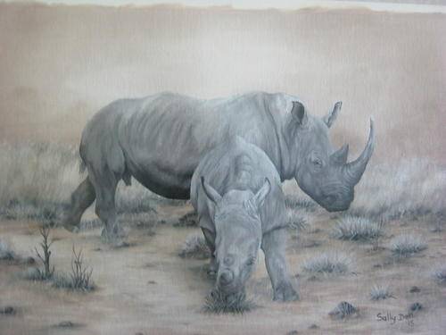 RHINO COW AND CALF  BY SALLY DELL