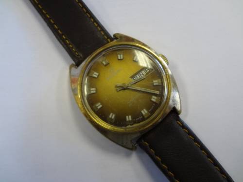 Rodania gent's watch
