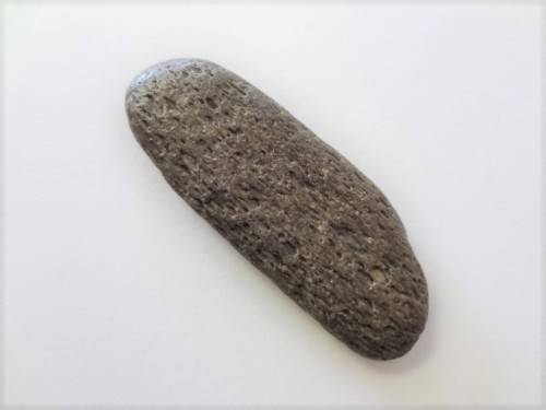 Fossilised shark tooth as per scan