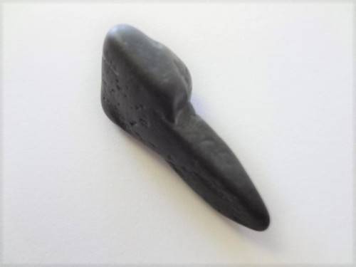 Fossilised shark tooth as per scan