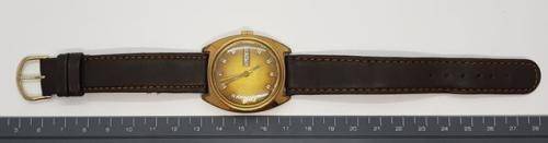 Rodania gent's watch