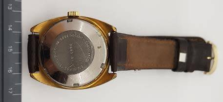 Rodania gent's watch