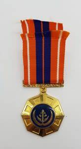 SADF Pro Patria Medal #363794 fixed type as per photo