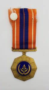 SADF Pro Patria Medal #150672 fixed type as per photo