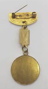 Iraq ` Mother of all battles` Medal - as per scan