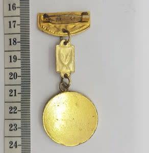 Iraq ` Mother of all battles` Medal - as per scan