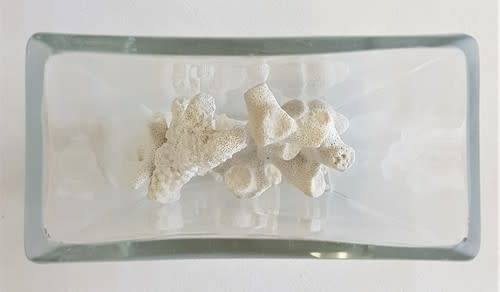 Glass vase with coral reef pieces - as per photo