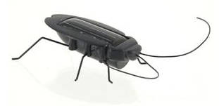 Solar Cockroach