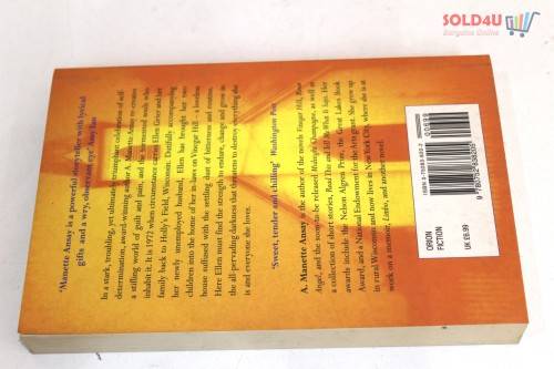Vinegar Hill  by A. Manette Ansay