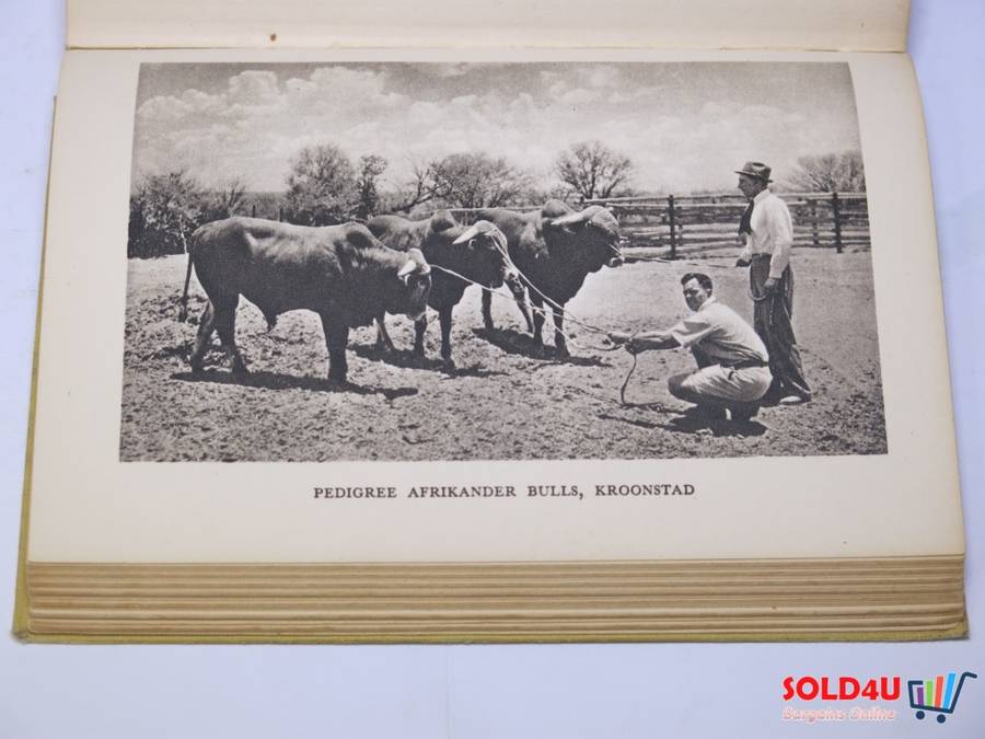 In Search of South Africa  H.V.Morton- 1948