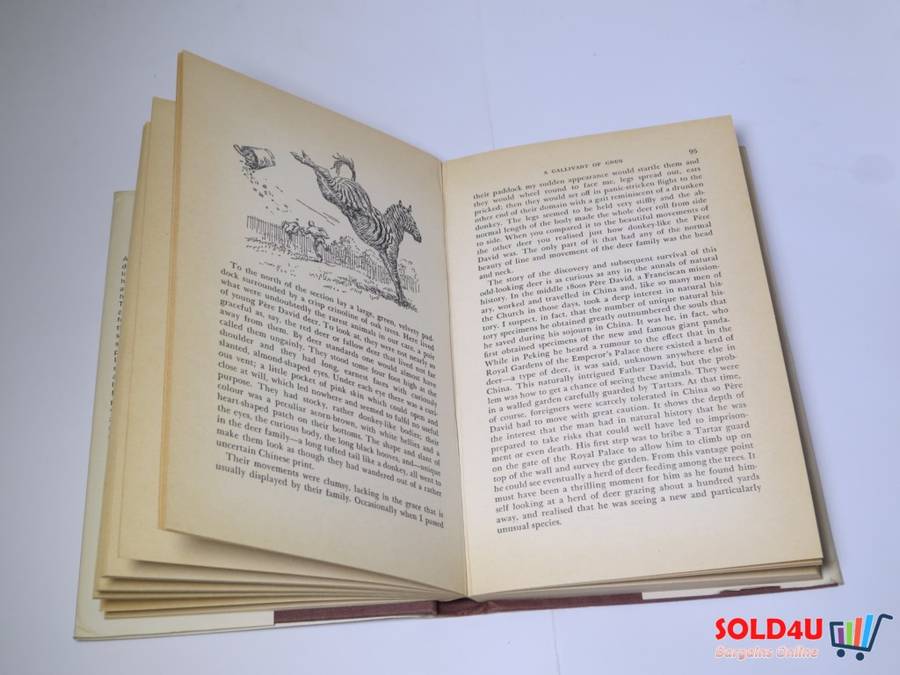 Beasts in my Belfry - Gerald Durrell