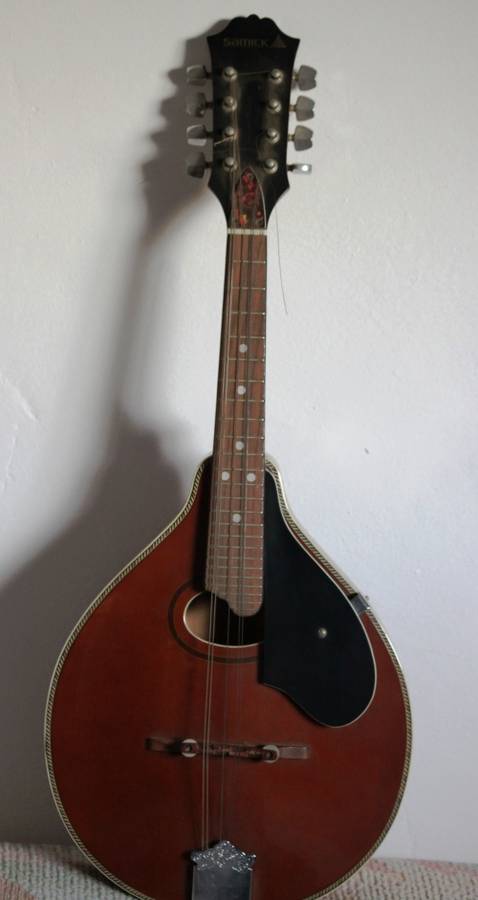 Mandolin by Samick