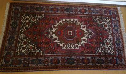Goltog hand knotted Persian carpet / runner