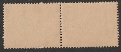 UNION  - 1930-45 Roto  PICTORIALS     2s 6d pair Blue and brown **MNH**