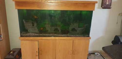 Large fish tank with wooden cabinet stand - Complete and in working order
