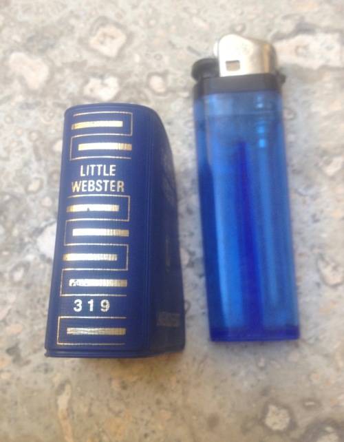 The little Webster dictionary 319 , Langenscheidt