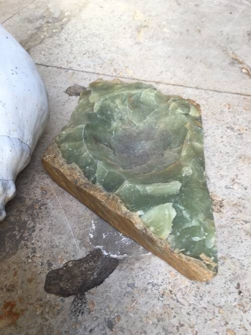 sea shell proper large spider conch on precious stone base